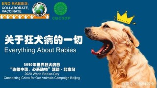 綠會BASE走進北京校園——一場關於狂犬病的科普講座