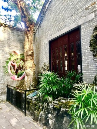 佛山順德美食最出名！但還藏著廣東四大園之首，名字來源不小