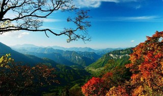 神農架深處，為何會被列為禁區？只因一神秘現象，科學都不能解釋
