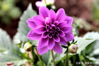 12月下旬，吉星高照，財運上升，招財納福，能賺大