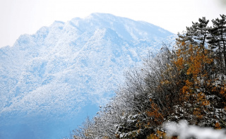冰掛奇觀、唯美雪景漢中這個地方的冬天美成仙境！
