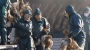 糟心，希望不要傳到外部！全球首次發現人感染H5N