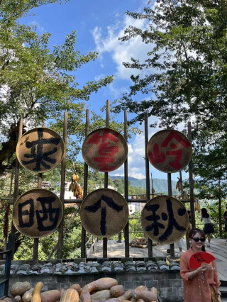 婺源旅行：自由行與跟團遊的終極對決，你選誰？_景點_行程_時間