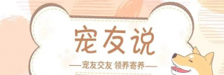 寵愛七夕！來自鏟屎官的告白