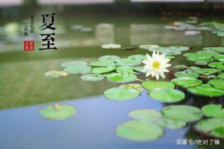 夏至已至，做好日常四點助力養生