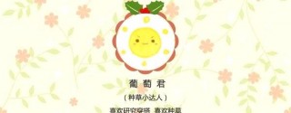 圓臉女生冬季怎麼穿?時尚博主的八套穿搭教你穿出滿分搭配!