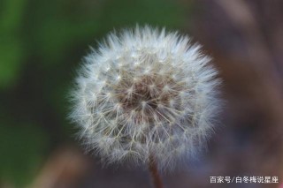 這四星座在11月有財神爺來敲門！財運飆升，富貴難擋，發家致富！