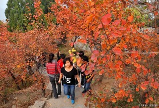 來北京香山旅遊，除了看香山紅葉，還有一處經典景點不容錯過！