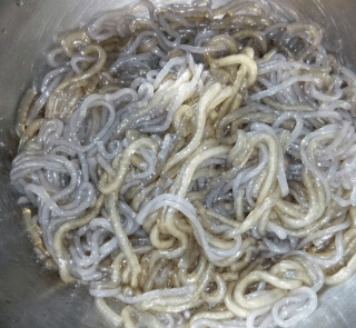 海帶絲拌酸辣粉，酸辣過癮，快手美味