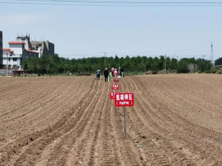 攻堅克難 科學嚴謹 紮實苦幹 力爭上遊——錦州市太和區農業發展服務中心開展玉米化肥利用率田間試驗紀實