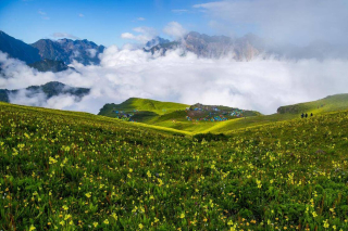 端午假期，6月旅行，去這7個小眾旅行地，風光更好人更少_森林_圍屋_濕地