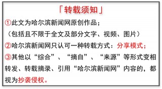 赴一場書香四溢的文化盛宴｜圖書夜市開幕啦！