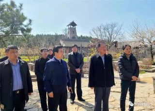 省政協調研組赴焦作市開展 “推進鄉村文化和旅遊融合發展”調研