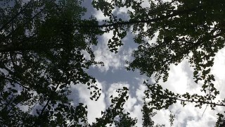財運超級棒，好運降臨，生肖猴，6月下旬運勢爆棚