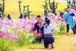 遊客在日本踩踏花草，被日本網友吐槽