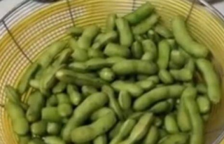 【美食推薦】涼拌毛豆做法