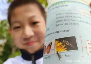 12歲男生“找茬”英語教材，獲出版社認可，家長：從未上補習班