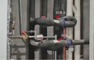 屋主喝了將近兩年的馬桶水，卻是裝修時接錯了水管？
