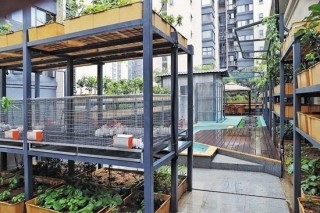 如何讓高樓披上生態綠衣？農業科學院將在雙流建實驗示範基地助推成果轉化