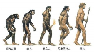 為什麼地球上對人類有威脅的大型動物，很多都滅絕了？
