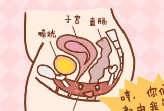 【婦產科普】生完孩子再開始？太晚了！現在就動起來吧_運動_進行_動作