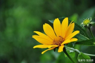 3月過半後，偶遇舊愛，思念累積，三大星座，牽手彼此，不負此生