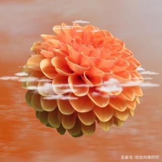 2月往後紅紅火火，將有富貴降臨的4個星座，好運擋不住！