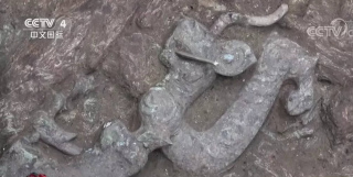 這是什麼寶貝？三星堆又有新發現！