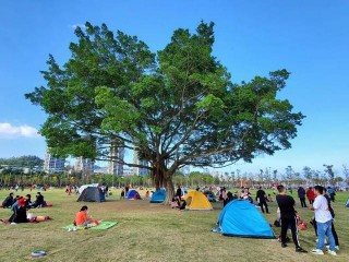 被3歲萌娃暖到！假期過半，你文明旅遊了嗎？