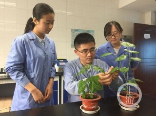 曆時十年，西大團隊“桑樹基因組生物學研究”獲重慶市科學技術獎自然科一等獎