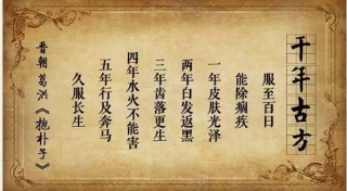 黑芝麻丸的功效與作用大全，你知道幾個！