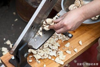 老中醫：中草藥裏4個寶！用好補血養顏、延緩衰老，