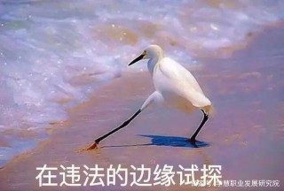 學慧網職業發展研究院：女性職業發展的困境及突圍策略