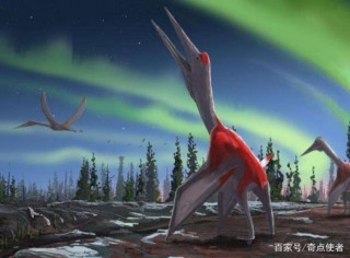古生物學家整理博物館時，發現神秘史前生物，這是一個全新物種！