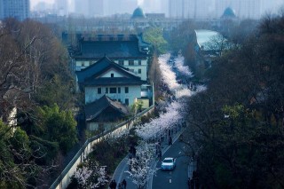 不能錯過的南京旅遊攻略：到南京就該這麼玩兒，你學會了嗎？