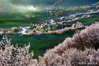 《可可托海的牧羊人》提到了幾個旅遊勝地？