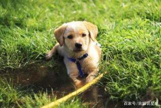 完美無瑕的星座女，性格溫柔體貼，一定不要錯過她們