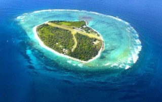 珊瑚蟲開始大批地死亡？珊瑚礁為什麼會消失？專家有何看法？