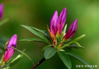 從6月開始好運相隨，會事事順心，生活多姿多彩的星座