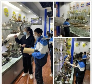 甘肅慶陽學生們的研學實踐，感受多姿生命，珍惜多彩生活