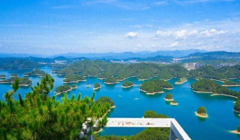 千島湖的“淨水魚”：鰱鱅放養了60多年，水庫“魚