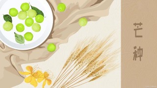 芒種將至，3種傳統習俗帶火2樣美食，應季而食營養足，健康過夏