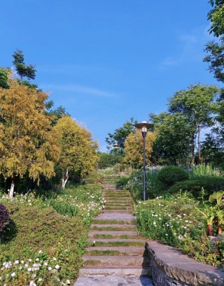 重慶又一網紅公園，5G智慧科技覆蓋，穿越未來式體驗