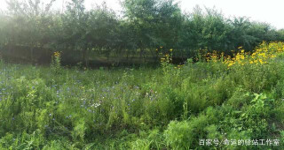 如何以自然辯證法的角度看生命的起源？以及人類文明的進化過程？