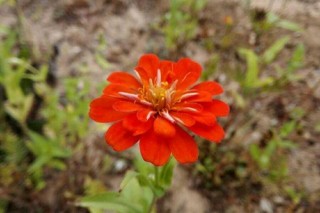 1/1000:《結構化寫作》贏得職場說服力
