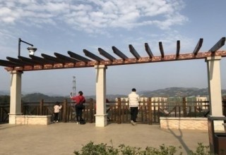 不負春光，攬盡春色，大栗坡郊野公園景別樣