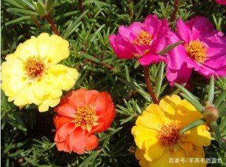 辛苦的時光過去！1月10號之後，開始享福，成為暴發戶的3星座