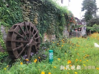 嘗海鮮美食、住星級民宿……金山嘴漁村：鄉村旅遊促發展 海漁風情引客來