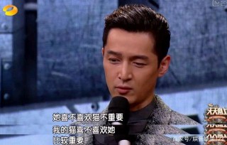 貓奴胡歌家的貓與宋茜家的愛狗是否可撫慰明星的內心，善解人意呢