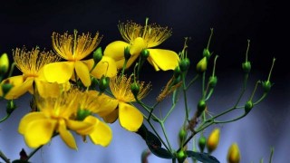 11月前，4大星座財星入駐，財運亨通，賺錢無數，過好幸福年！